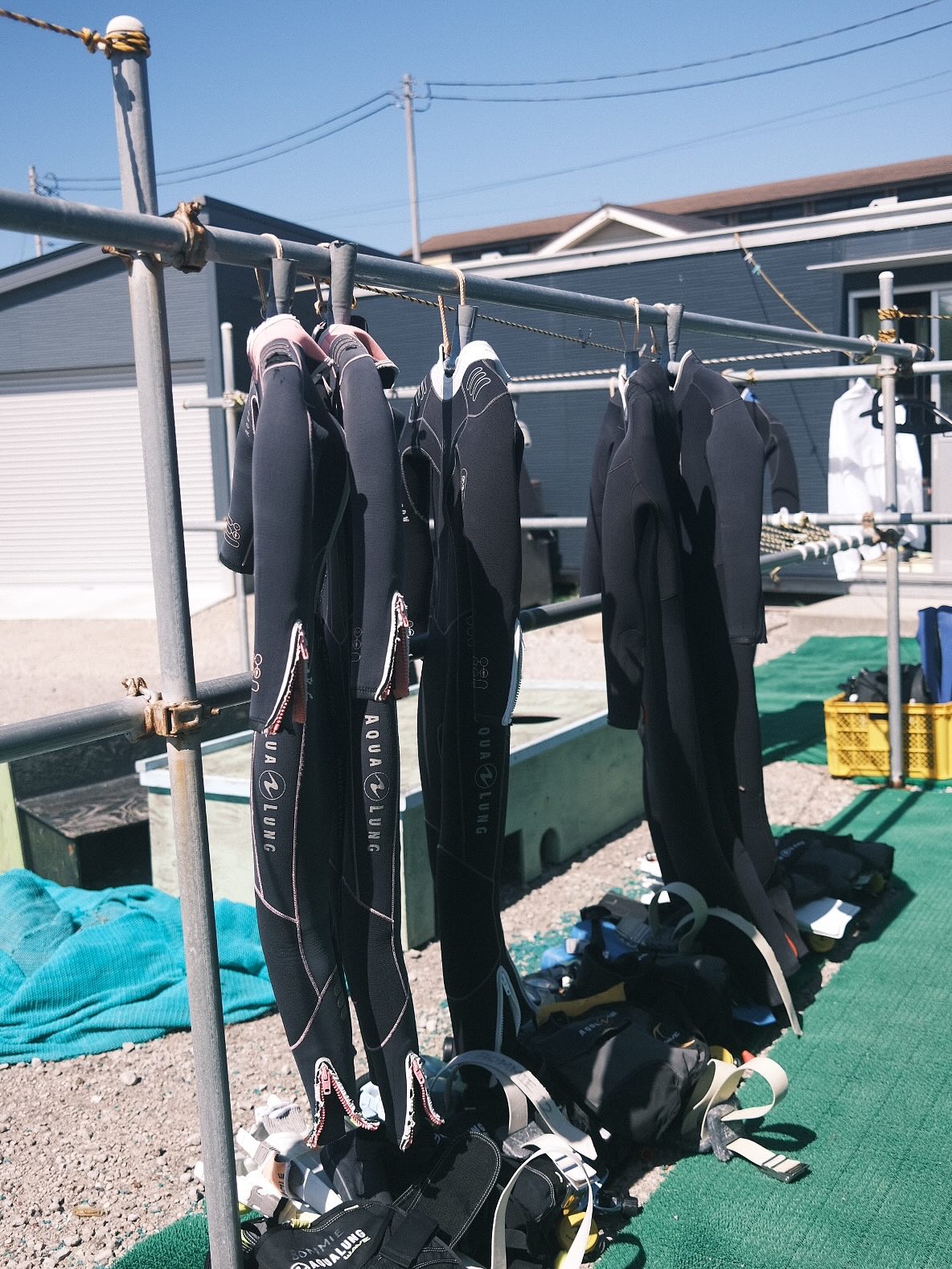 scuba dived and wind surfed. Made walking and underwater fri...