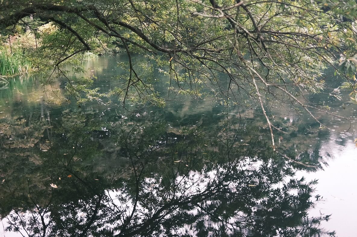 雨滴淅淅沥沥，我撑着伞把世界都隔开