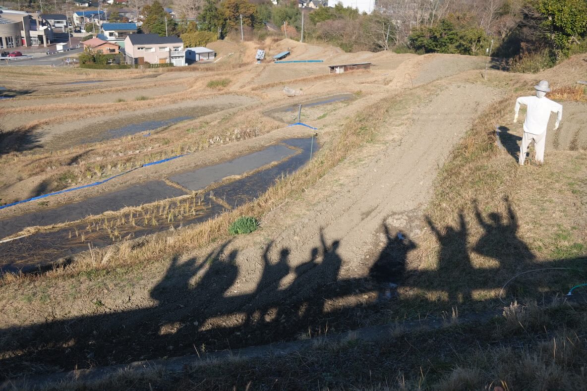 2025年、私はいくつかのことに気づいた。